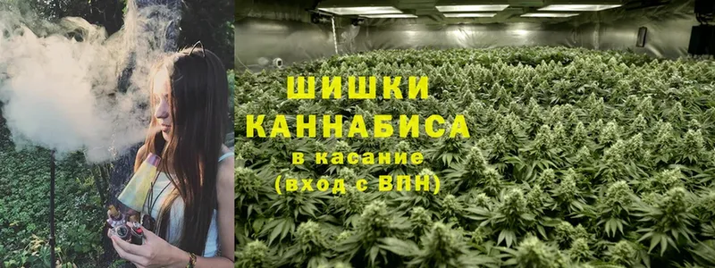 МАРИХУАНА OG Kush  Михайловск 